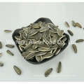 China Made Cheap Price Bulk Packing Chinese Seeds Wholesale Sunflower Seeds